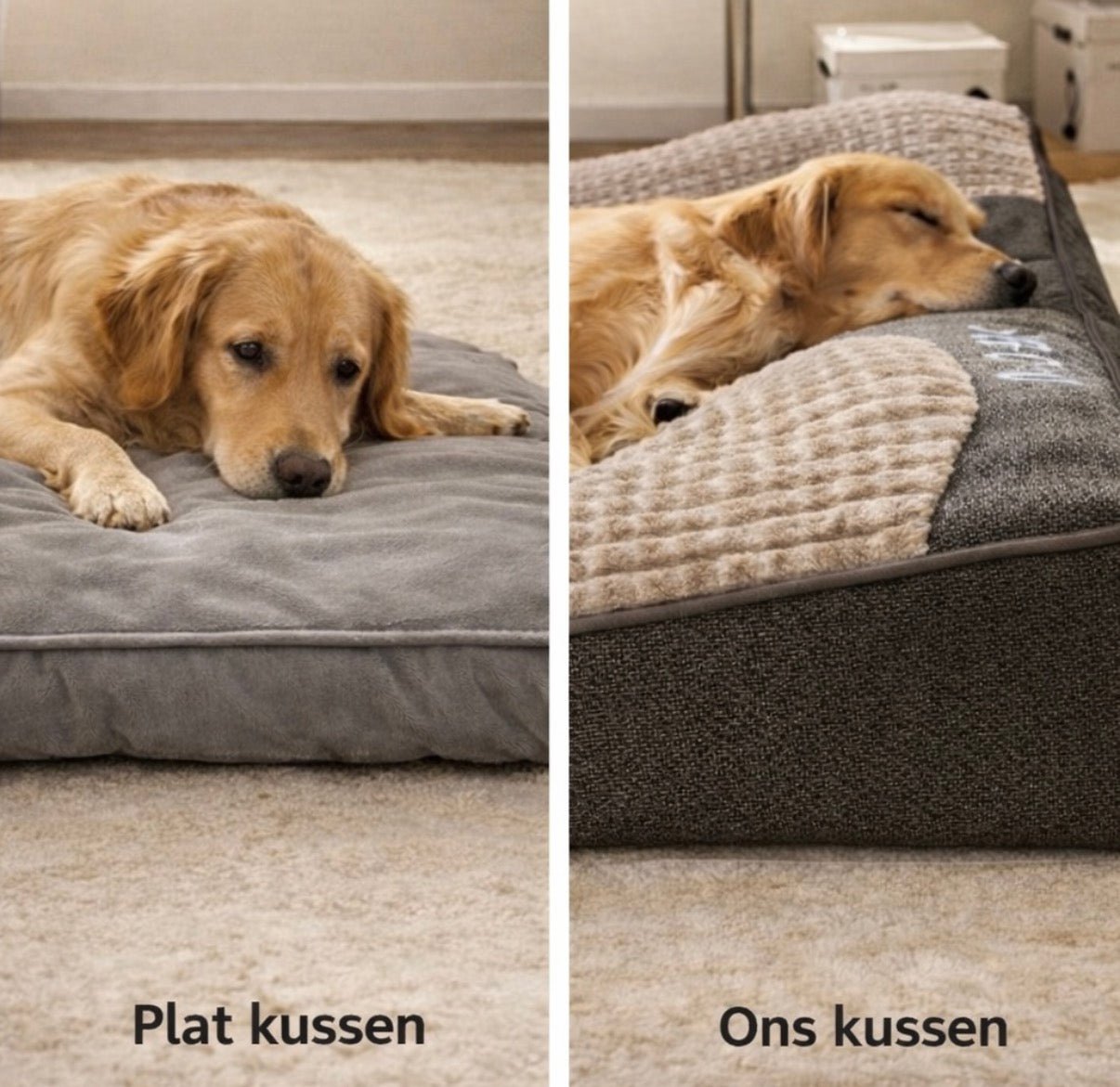 Paw-care™ Orthopedisch hondenkussen