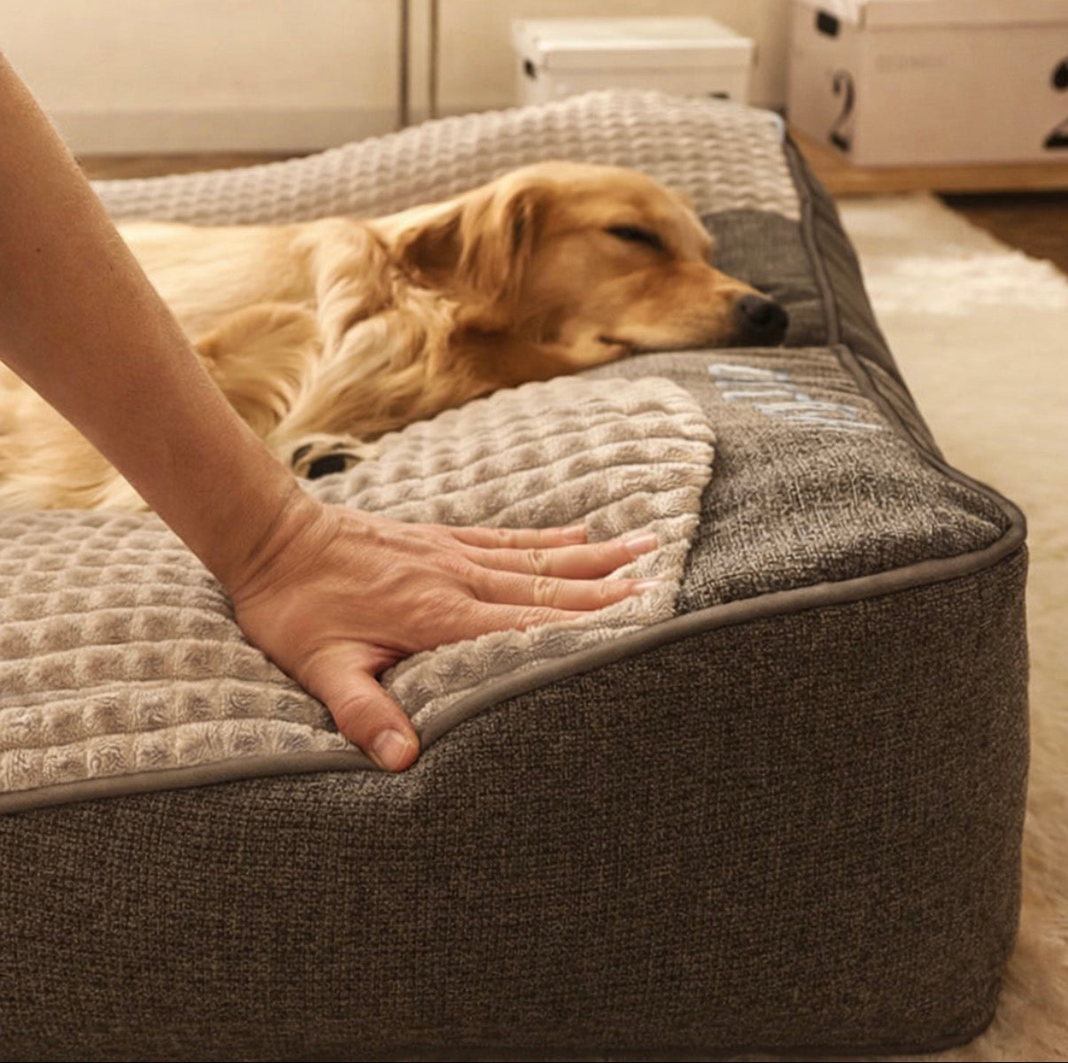 Paw-care™ Orthopedisch hondenkussen